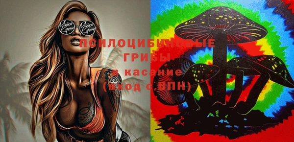 твердый Беломорск