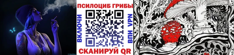 наркота Саяногорск Псилоцибиновые грибы Magic Shrooms